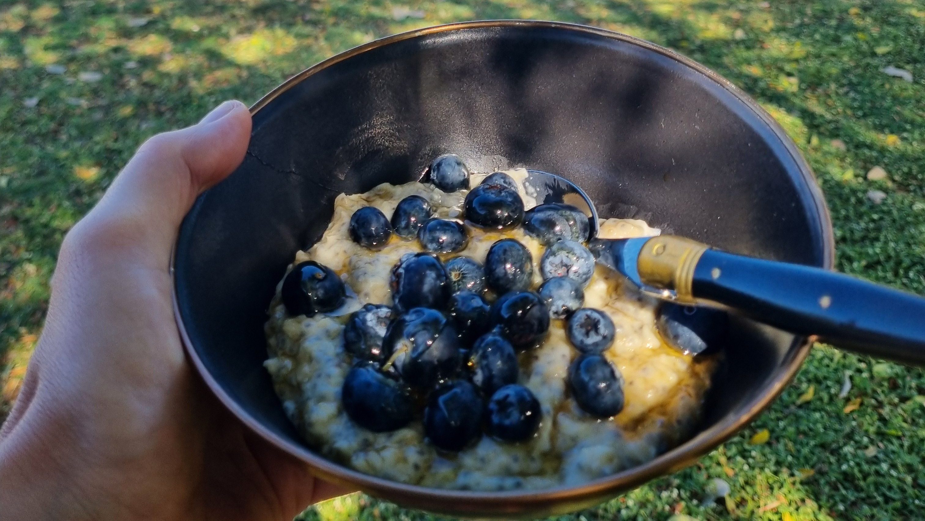 Protein porridge topped with fresh blueberries and honey